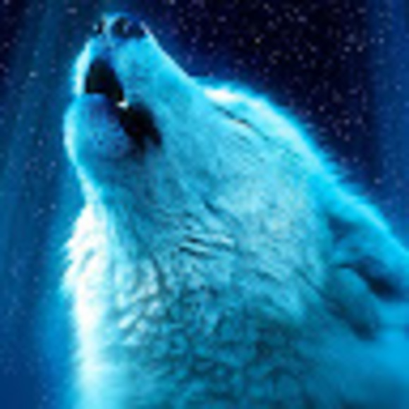 Meet your Posher, Alana - Picture 1 of 1